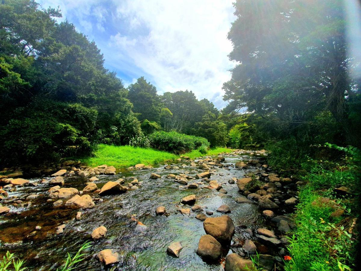 Kauri Coast Top 10 Holiday Park Kaihu Экстерьер фото